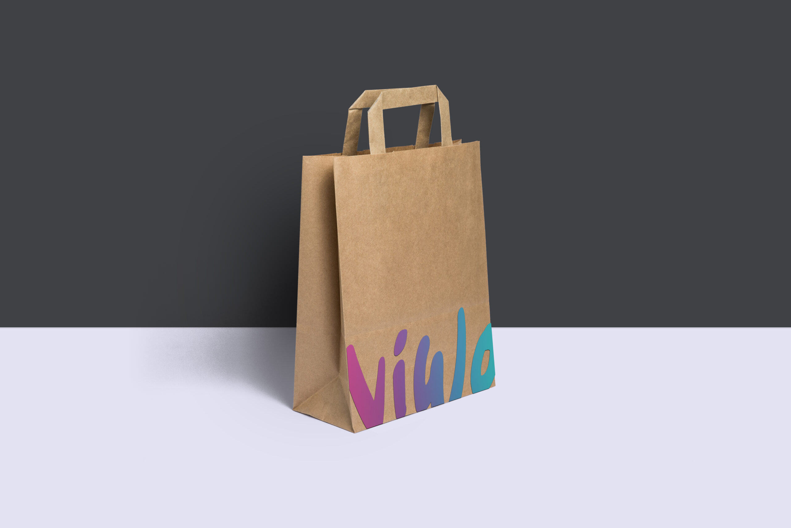 VIWO bolsa diseño