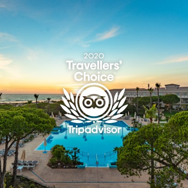 online reputation management hotels