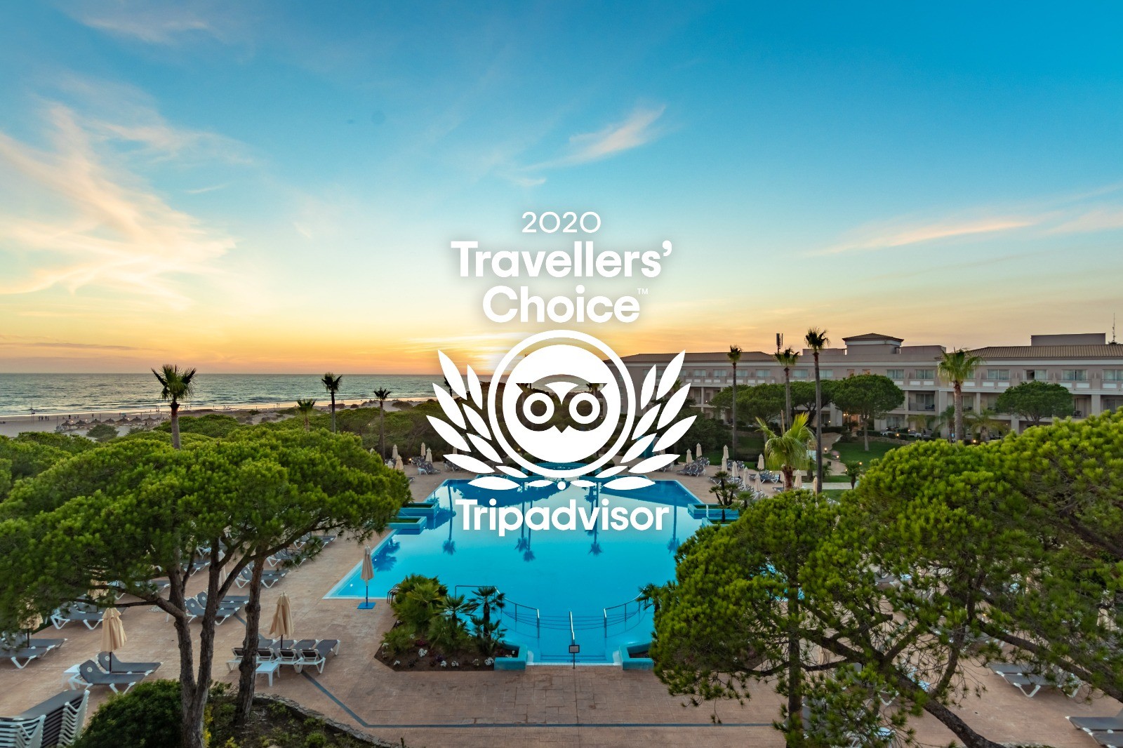 online reputation management hotels