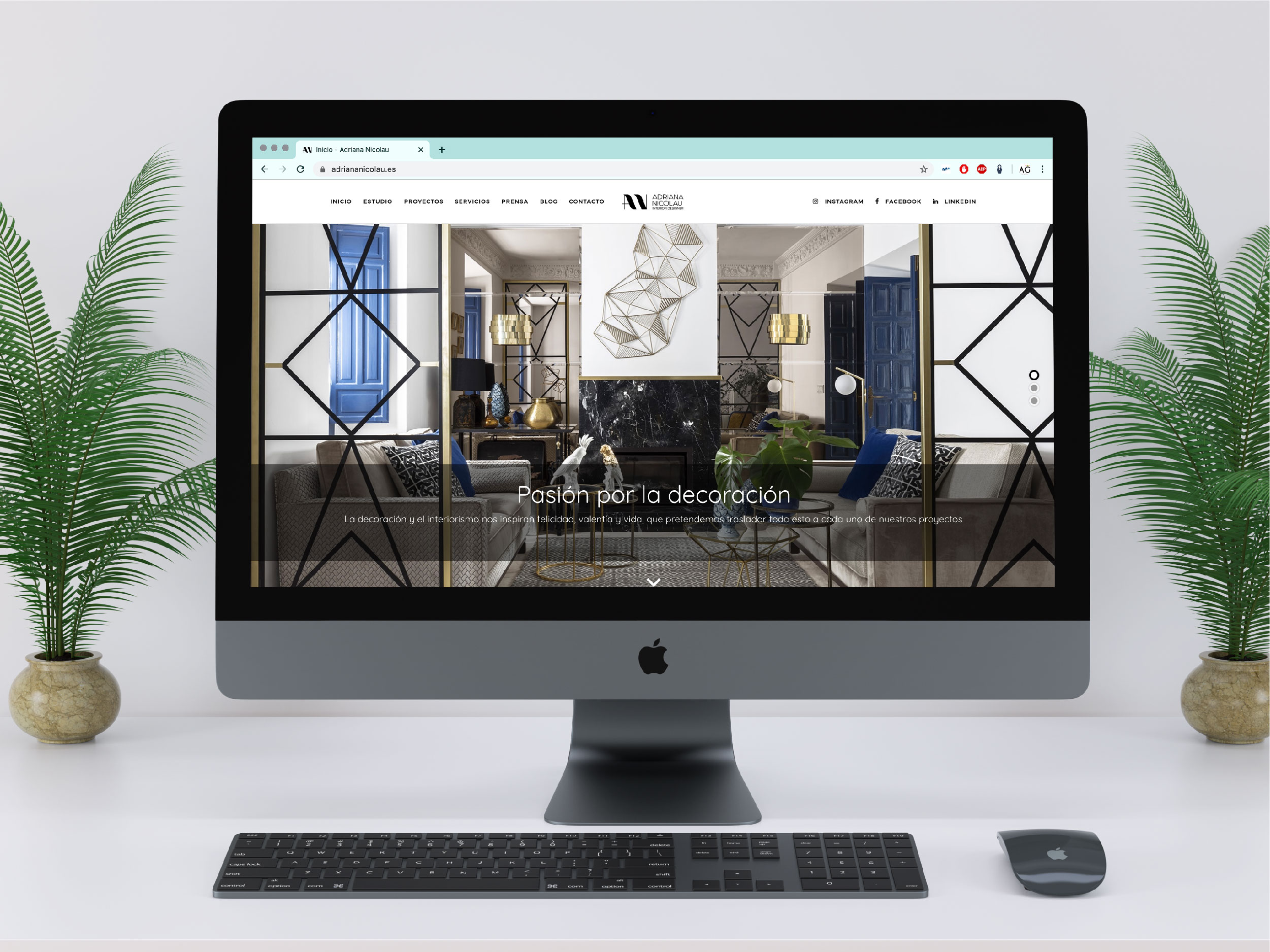 Estudio Adriana Nicolau Redes Sociales Influencer